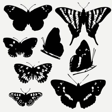 Kelebekler siluetleri kümesi. Gri arka plan üzerinde izole kelebek simgeler vektör.