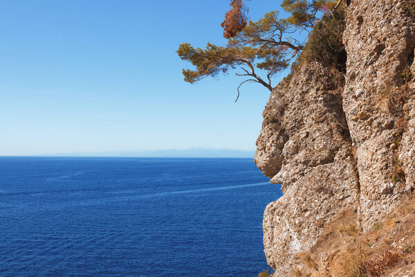 красивый природный ландшафт с деревьями на скале и живописное море в Портовенере, Италия
 