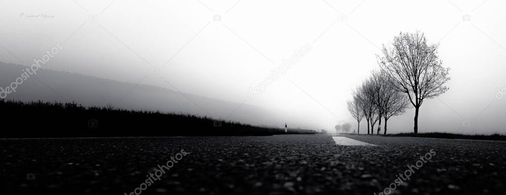 Monochromatic sunrise scene in May, with the empty road and all other lines leading into dense fog