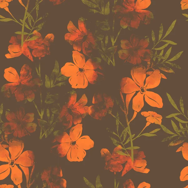 Mezei virágok és gyógynövények — Stock Fotó