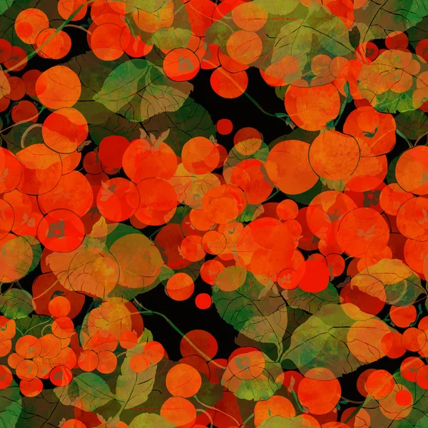 Gallyak, levelek és bogyók — Stock Fotó