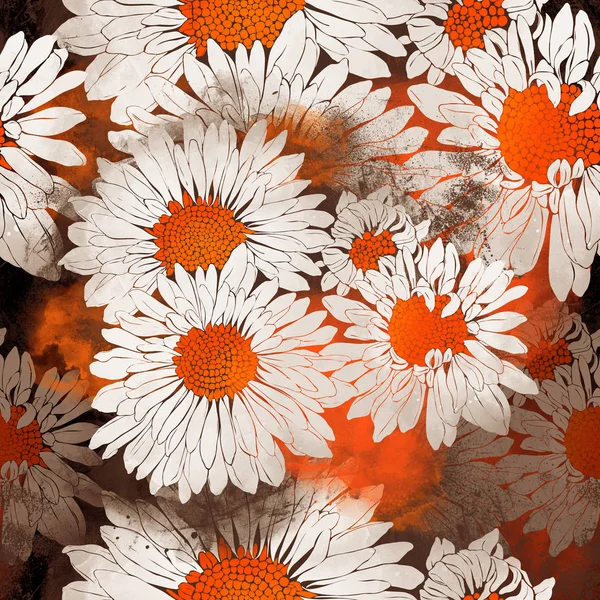 Daises florecientes salvajes —  Fotos de Stock
