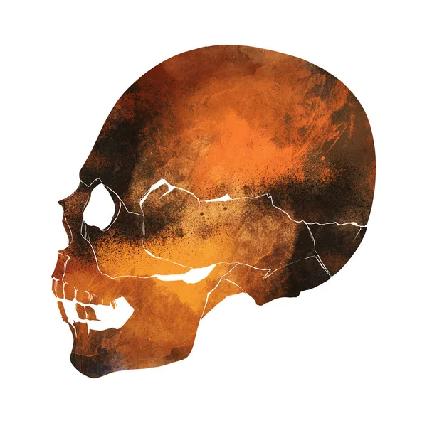 Hand drawn skull — Stock Photo, Image