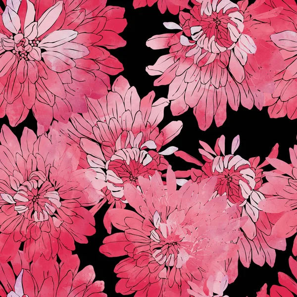 Vackra japanska krysantemum — Stockfoto