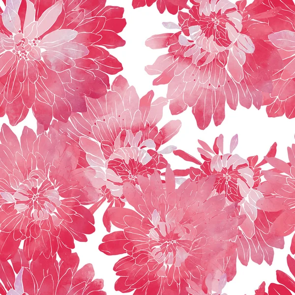 美丽的日本菊花 — 图库照片