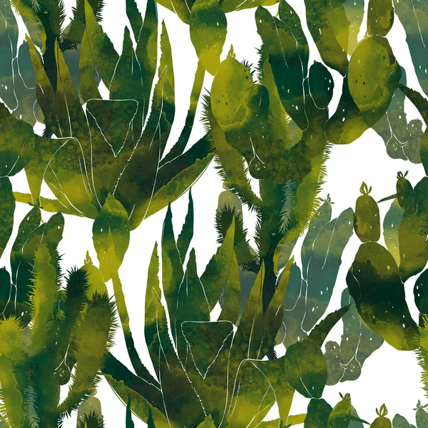 Cactos de acuarela verde —  Fotos de Stock