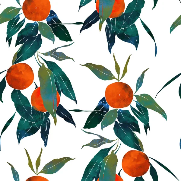 Subtropical tangerines trees — Stock Photo, Image
