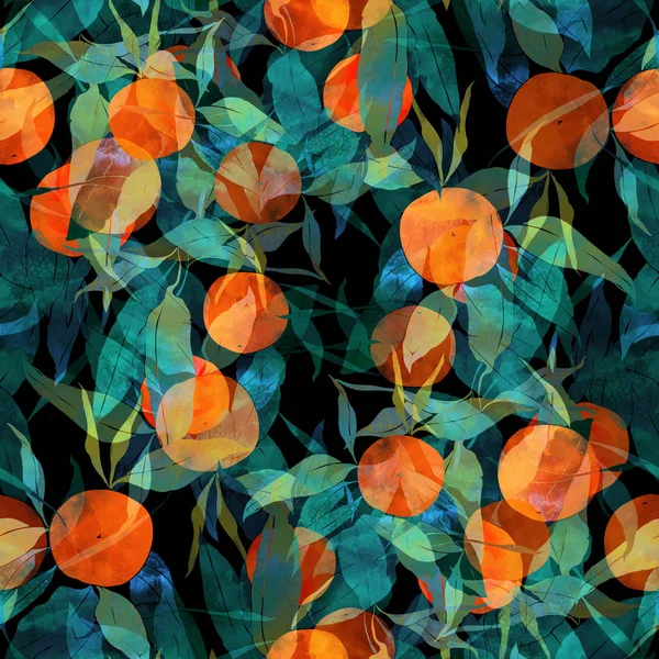 Árboles de mandarinas subtropicales —  Fotos de Stock