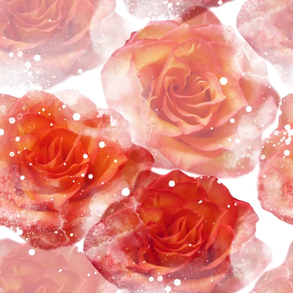 Roses  seamless pattern — Stock Photo, Image
