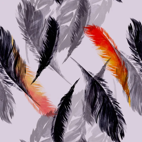 가시없는 깃털 모양 — 스톡 사진