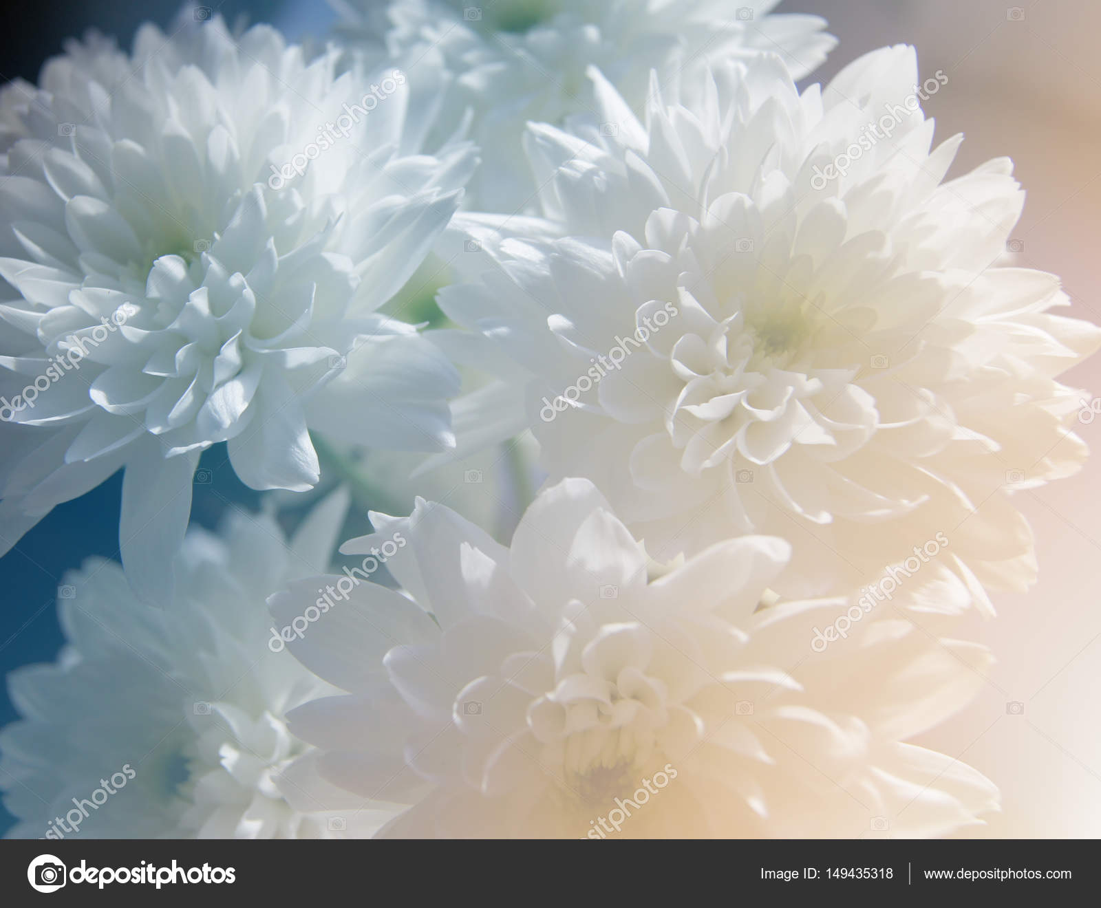 Маленький столик за углом - Том VII - Страница 31 Depositphotos_149435318-stock-photo-bouquet-of-chrysanthemums-flowers