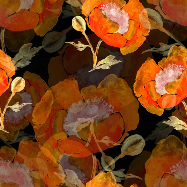 Papoilas aquarela padrão sem costura — Fotografia de Stock
