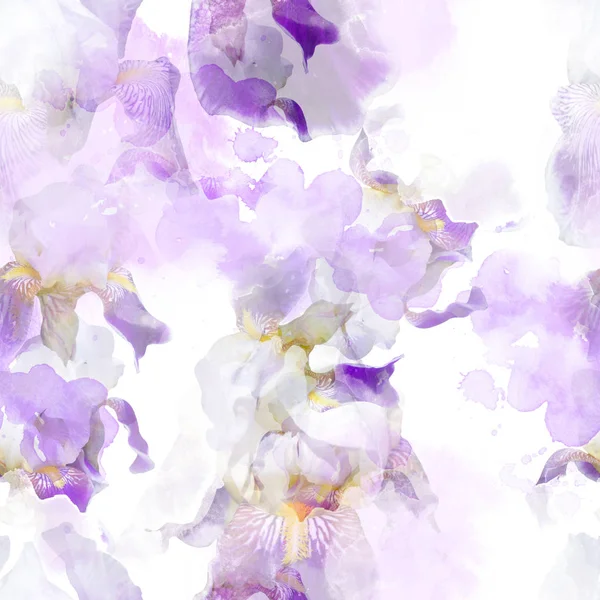 Blommande irisar sömlösa mönster — Stockfoto