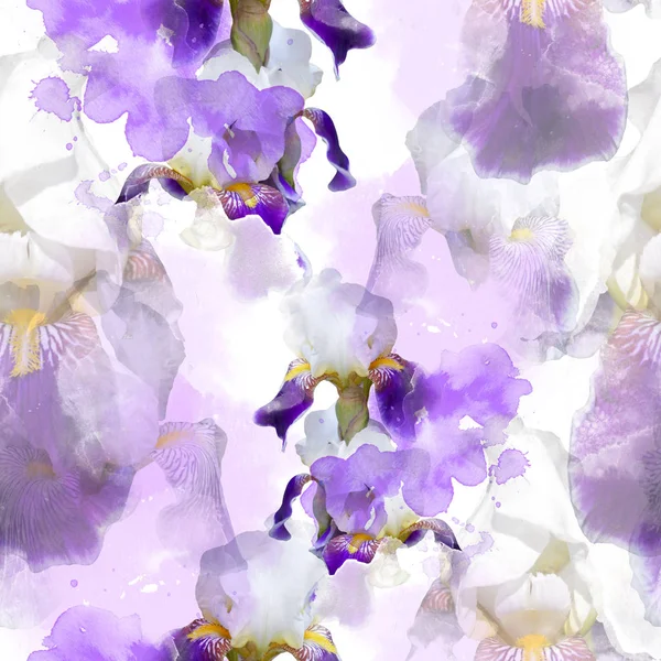 Floraison iris motif sans couture — Photo