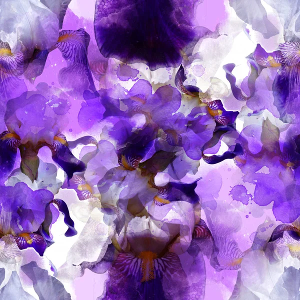 Kvetoucí kosatce bezešvé vzor — Stock fotografie