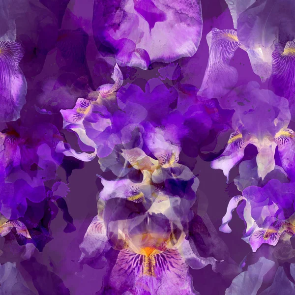 Квітучі іриси безшовний візерунок — стокове фото