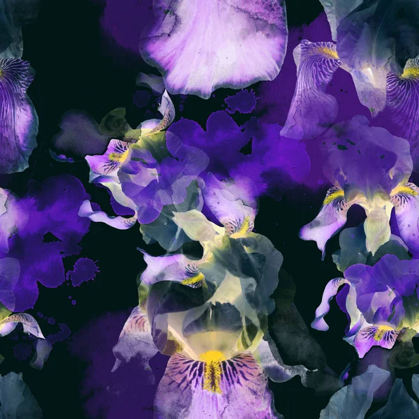Iris de floración patrón sin costura —  Fotos de Stock