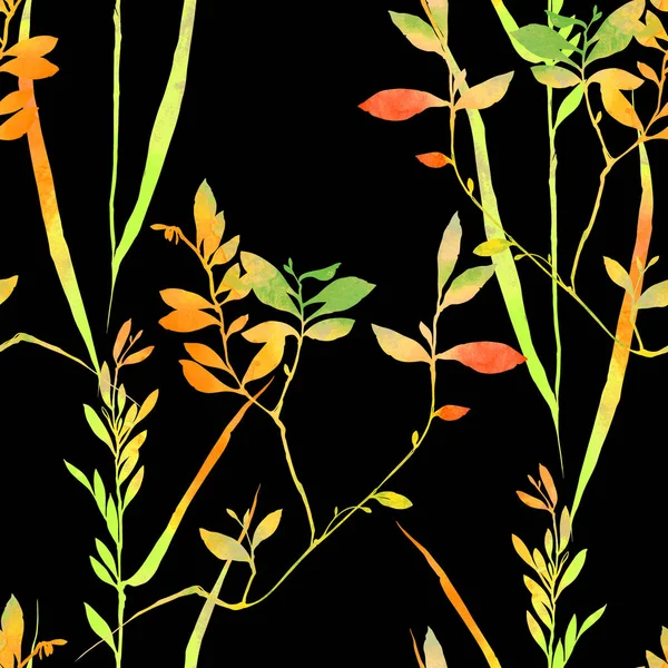 Herbarium gräs mönster — Stockfoto