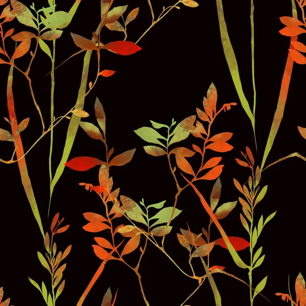 Herbarium grass pattern — Stock Photo, Image