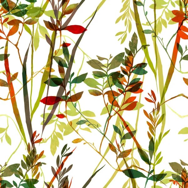 Herbier motif d'herbe — Photo