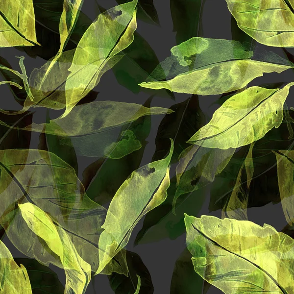 Leaves  seamless pattern. — Stock Photo, Image