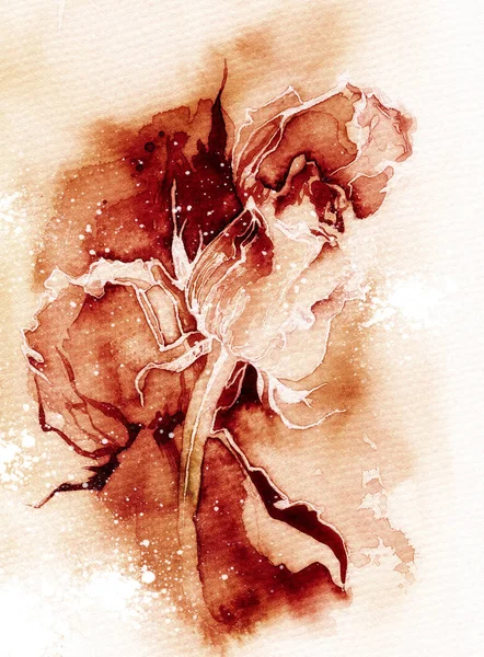 水彩快速表现力素描 彩色背景下的嫩玫瑰 — 图库照片