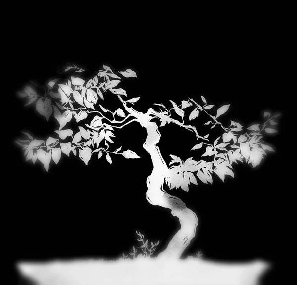 Japanese bonsai tree. Digital drawing and watercolor texture.