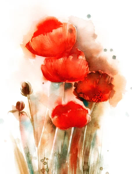 Akvarelu Expresivní Skica Květiny Poupata Plané Máky — Stock fotografie