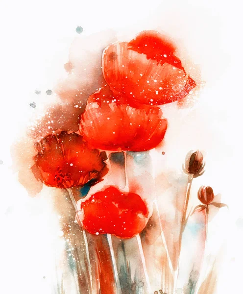 Esboço Expressivo Aquarela Flores Botões Papoula Selvagem — Fotografia de Stock