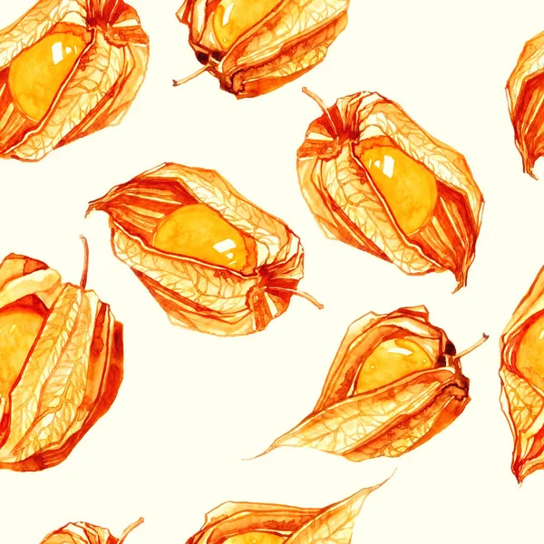Die Physalis Früchte Mischen Sich Nahtlos Aquarell Handgezeichnetes Bild Mixed — Stockfoto