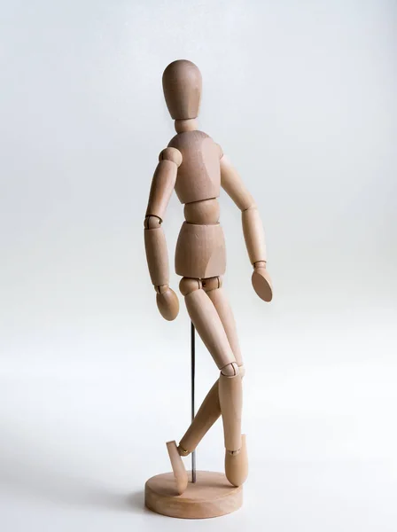 Modelo Humano sobre um fundo branco — Fotografia de Stock