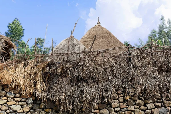 Insediamento murato del popolo Oromo-Etiopia. 0524 — Foto Stock