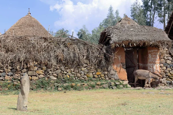 Burro en el asentamiento amurallado del pueblo Oromo-Etiopía. 0529 — Foto de Stock