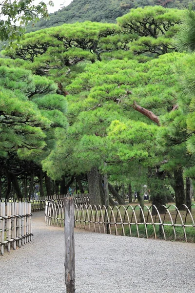 Ritsurin Koen-Chestnut Grove zahrada. Takamatsu Japonsko. 7051 — Stock fotografie