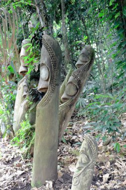 Tam tams-yarık gonglar Mage toplumun. Ambrym Adası-Vanuatu. 6162