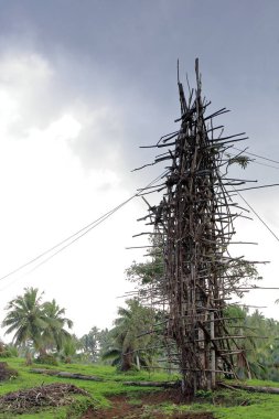 Nanggol-arazi dalış atlama için ahşap kule. Panngi Köyü-Pentecost Adası-Vanuatu. 6269