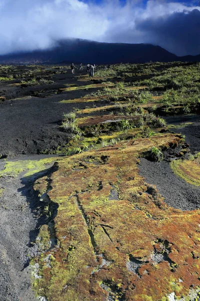 Inside the 12km.-wide volcanic caldera. Ambrym island-Vanuatu. 5876 — Stock Photo, Image