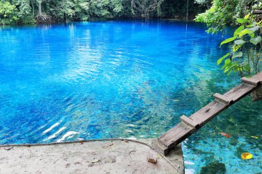 Mavi delik yakın doğu sahil yolu. Espiritu Santo Adası-Vanuatu. 6893