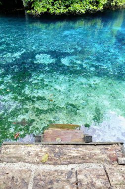 Mavi delik yakın doğu sahil yolu. Espiritu Santo Adası-Vanuatu. 6902