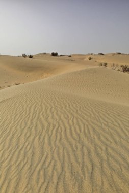 Shifting sand dunes-nitre bushes-Takla Makan Desert. Hotan prefecture-Xinjiang Uyghur region-China-0009 clipart