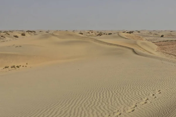 Skiftande sanddyner-nitre buskar-Takla Makan öknen. Hotan prefektur-Xinjiang Uyghur region-Kina-0008 — Stockfoto