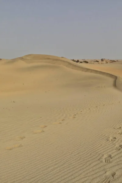 Shifting sand dunes-Takla Makan Desert. Hotan prefecture-Xinjiang Uyghur region-China-0007 — Stock Photo, Image