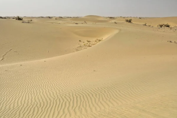 Skiftande sanddyner-nitre buskar-Takla Makan öknen. Hotan prefektur-Xinjiang Uyghur region-Kina-0004 — Stockfoto
