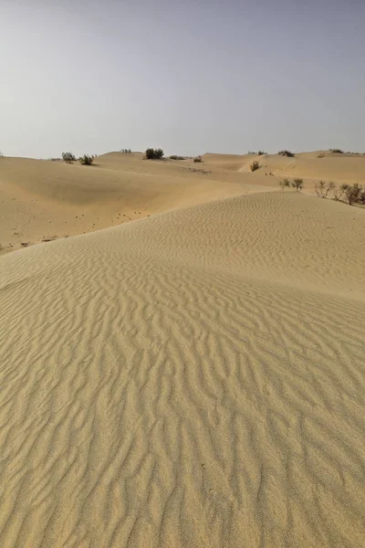 Skiftande sanddyner-nitre buskar-Takla Makan öknen. Hotan prefektur-Xinjiang Uyghur region-Kina-0009 — Stockfoto