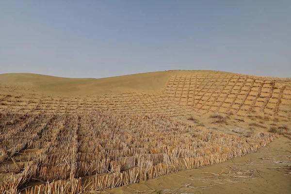 Saman dama tahtası kum kontrol engelleri. Hotan vilayeti-Xinjiang Uygur bölgesi-Çin-0002
