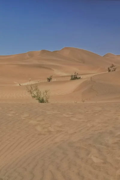 Песочные Дюны Покрывают Поверхность Пустыни Такламакан Образуя Цепи Эоловых Топографических — стоковое фото