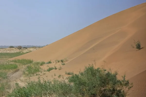 Ланцюги Рухомих Піщаних Дюн Покривають Поверхню Пустелі Такла Макан Деякі — стокове фото