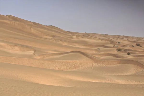 Kedjor Rörliga Sanddyner Täcker Ytan Taklamakan Öknen Några Dem Når — Stockfoto