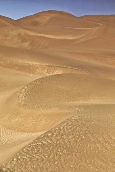 Moving sand dunes cover the surface of the Taklamakan Desert forming chains of these eolian topographic forms-some of them reaching up to 300 ms.high. Yutian Keriya county-Xinjiang Uyghur region-China
