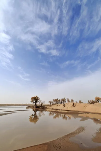 Река Керия Поставляет Несколько Оазисов Потоков Пустыню Такла Макан Дельту — стоковое фото